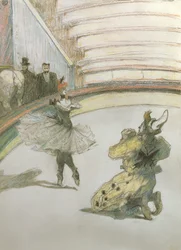 Chiamata alla ribalta al circo